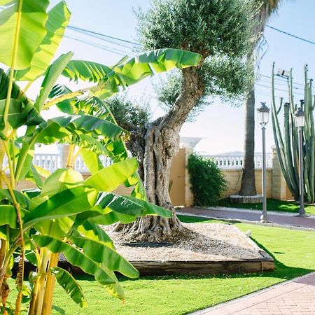 Penzion Casa Luxury "El Olivo De Cordoba" Con Jacuzzi Y Parking Privado Exteriér fotografie