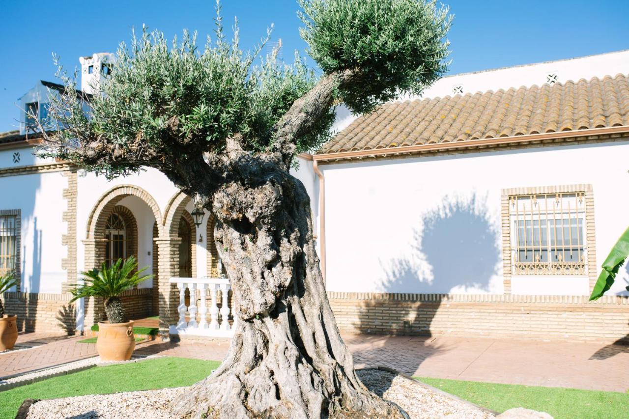Penzion Casa Luxury "El Olivo De Cordoba" Con Jacuzzi Y Parking Privado Exteriér fotografie