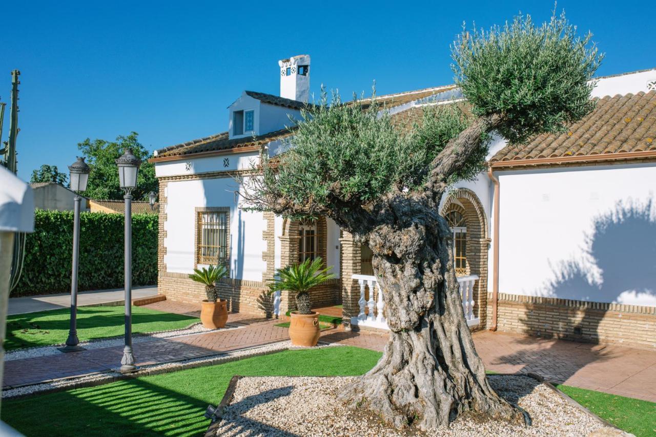 Penzion Casa Luxury "El Olivo De Cordoba" Con Jacuzzi Y Parking Privado Exteriér fotografie