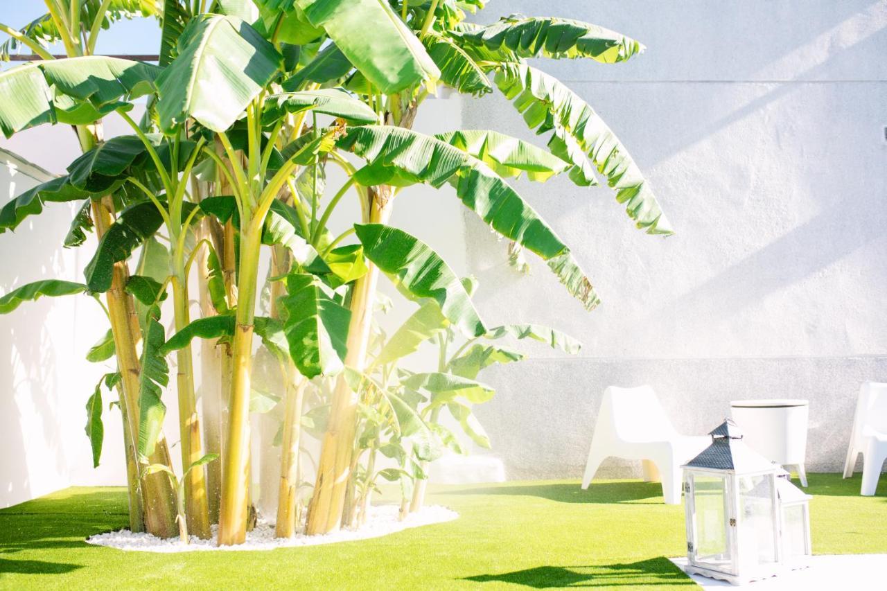 Penzion Casa Luxury "El Olivo De Cordoba" Con Jacuzzi Y Parking Privado Exteriér fotografie